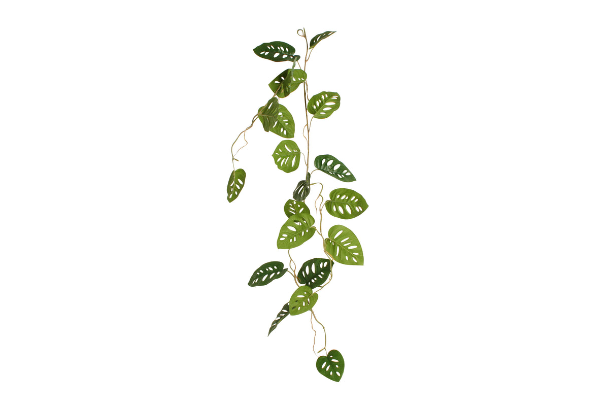 Swiss Cheese Vine Real Touch 105cm