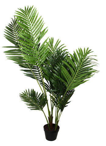 Phoenix Palm In Pot 130cm