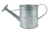 Antiqued Silver Watering Can Planter 16 x 15 cm in Australia