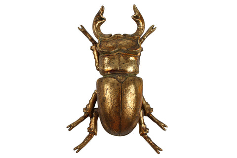 Angi Beetle Resin