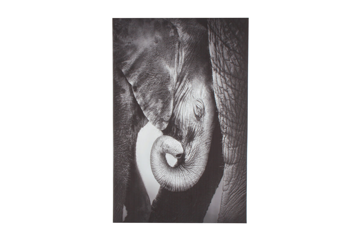 Blaine Baby Elephant On Stretched Canvas 90 x 60cm