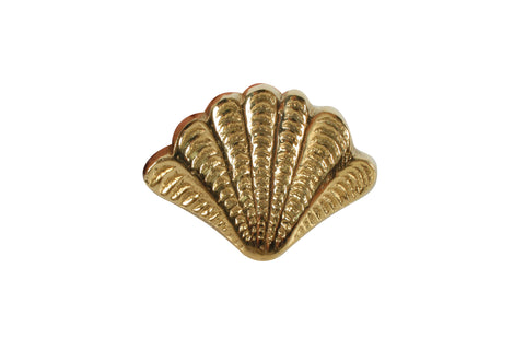 Belize Brass Shell Knob 5 x 3cm