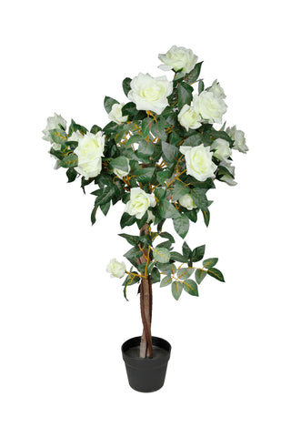 Potted 100 cm Rose Tree White