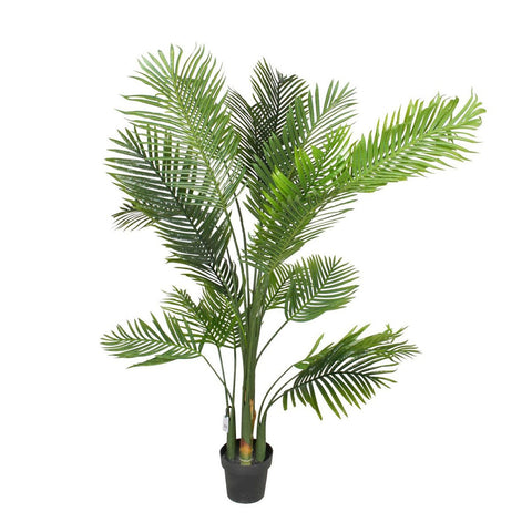 Palm Tree In Plastic Pot 180cm