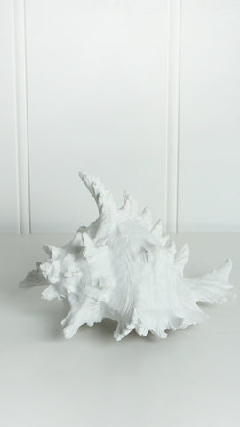 Hao Resin Conch Shell