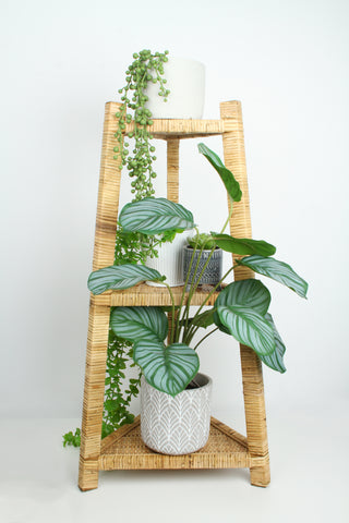 Natural Rattan Triangle Shelf