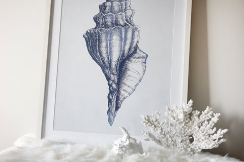 Belize Blue Watercolour Shell Framed Canvas 80 x 60cm