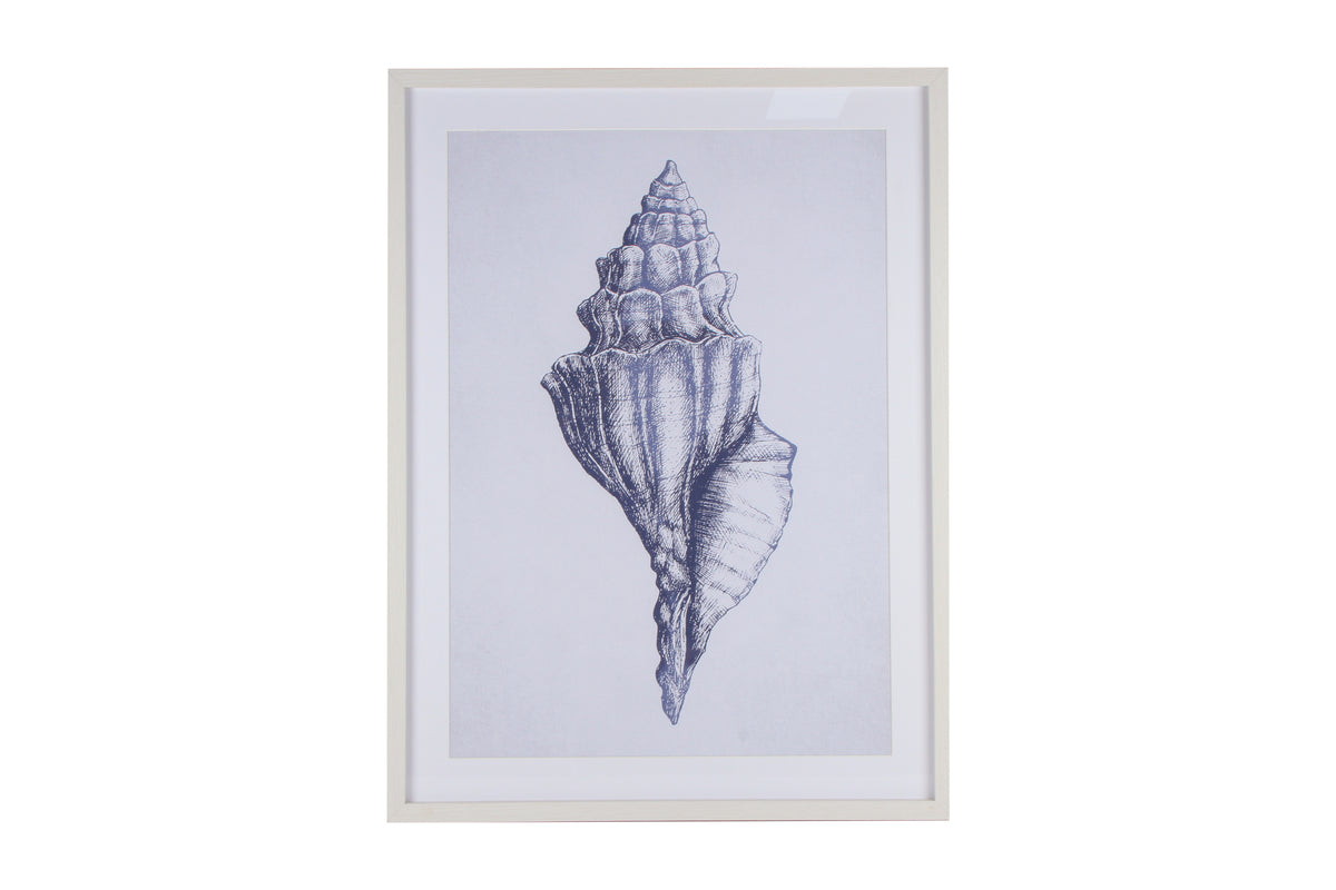 Belize Blue Watercolour Shell Framed Canvas 80 x 60cm