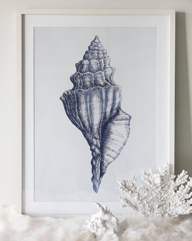 Belize Blue Watercolour Shell Framed Canvas 80 x 60cm