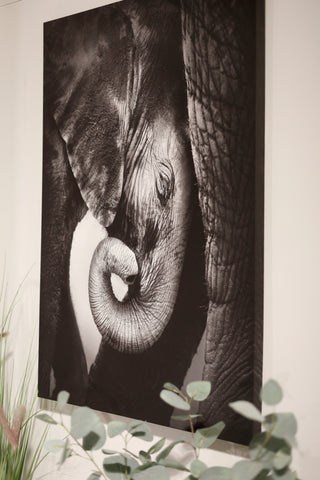 Blaine Baby Elephant On Stretched Canvas 90 x 60cm