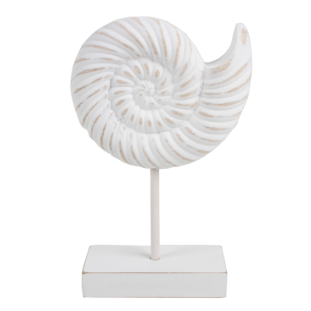 7 Seas Conch Wood Shell On Stand 25 x 14 x 6cm