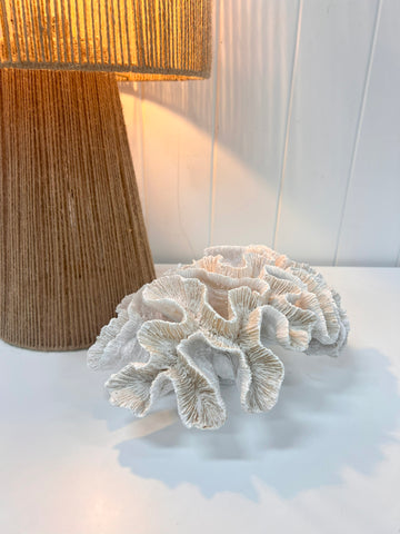 Shop the White Coral 24cm - Available Online at Maine & Crawford, Australia