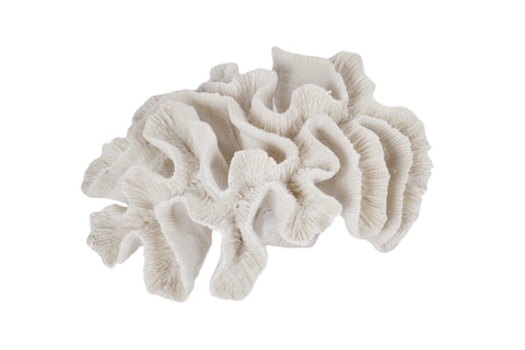 Stylish White Coral 24cm - Available in Australia at Maine & Crawford