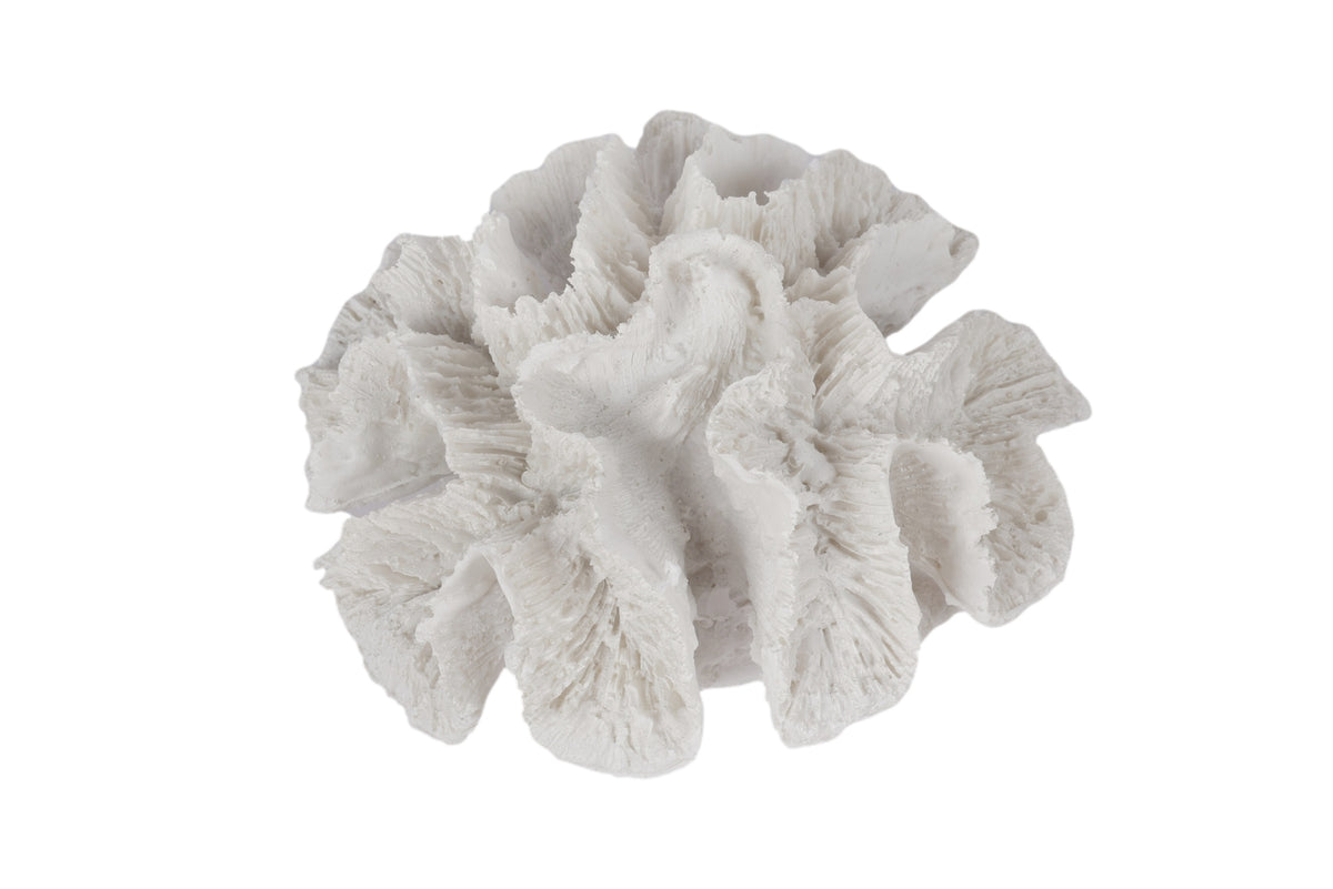 White Coral 15cm - Maine & Crawford Online Store, Available in Australia
