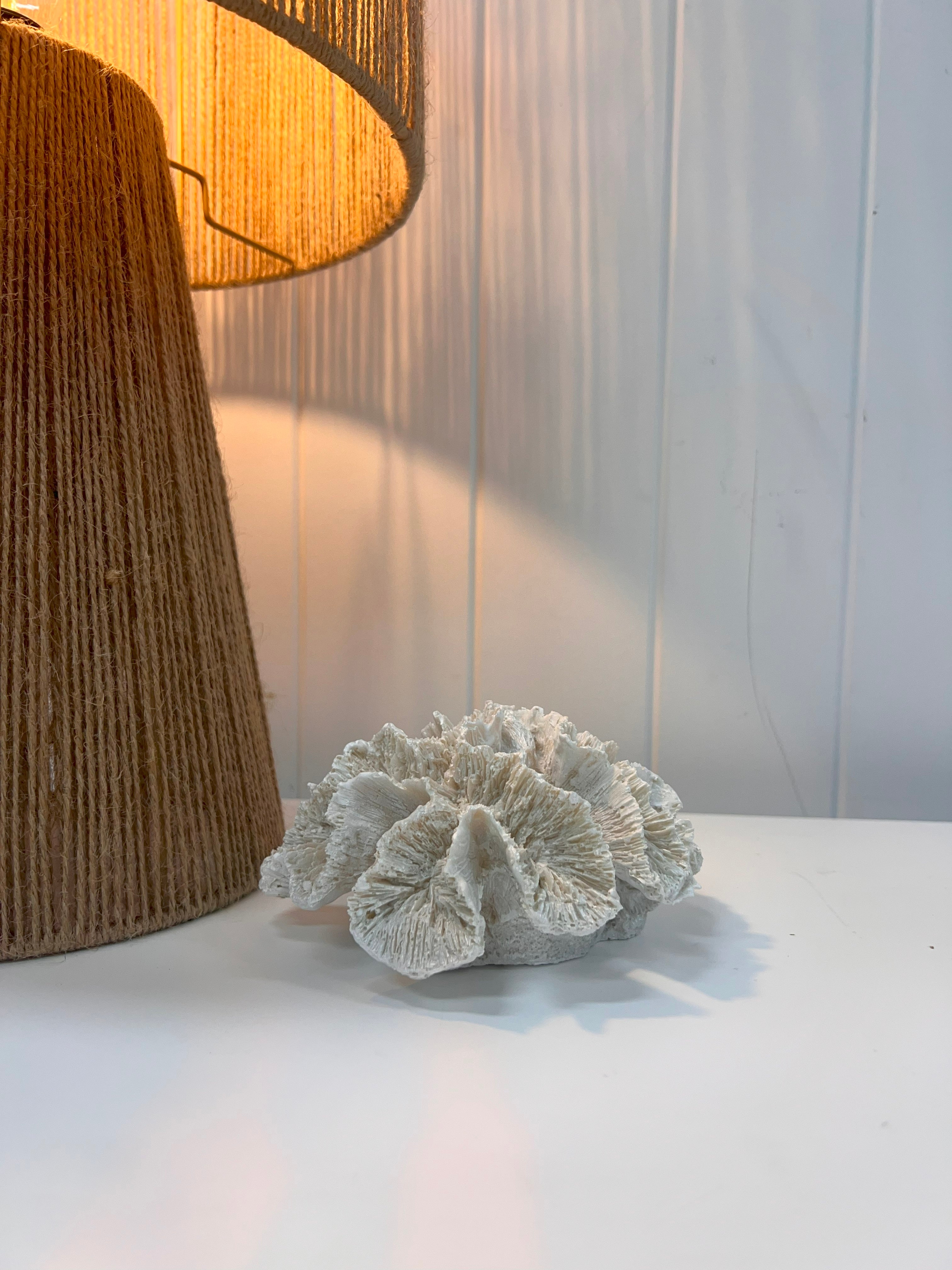 Durable White Coral 15cm - Available Online in Australia at Maine & Crawford