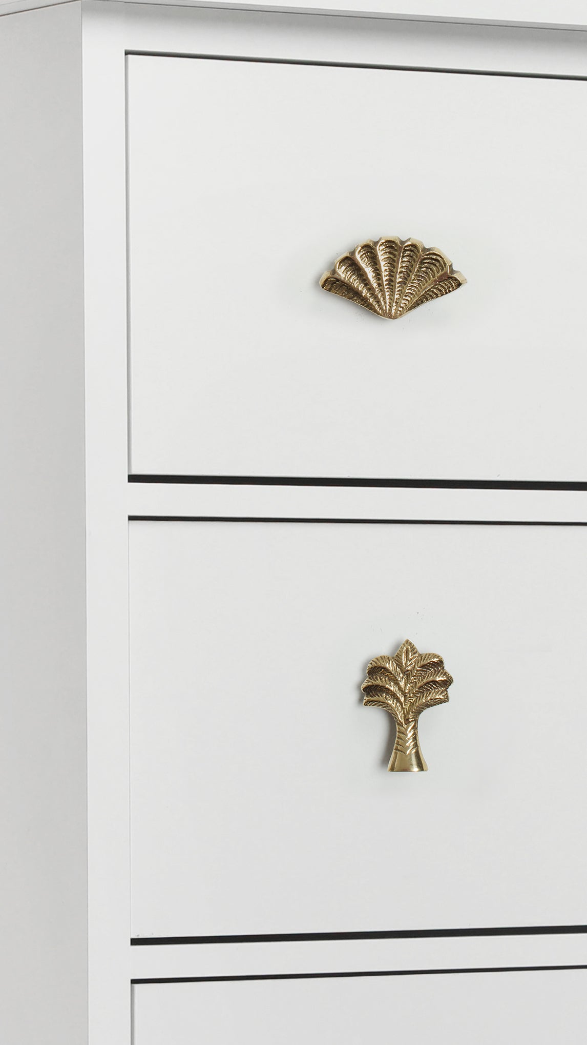 Belize Brass Shell Knob 5 x 3cm