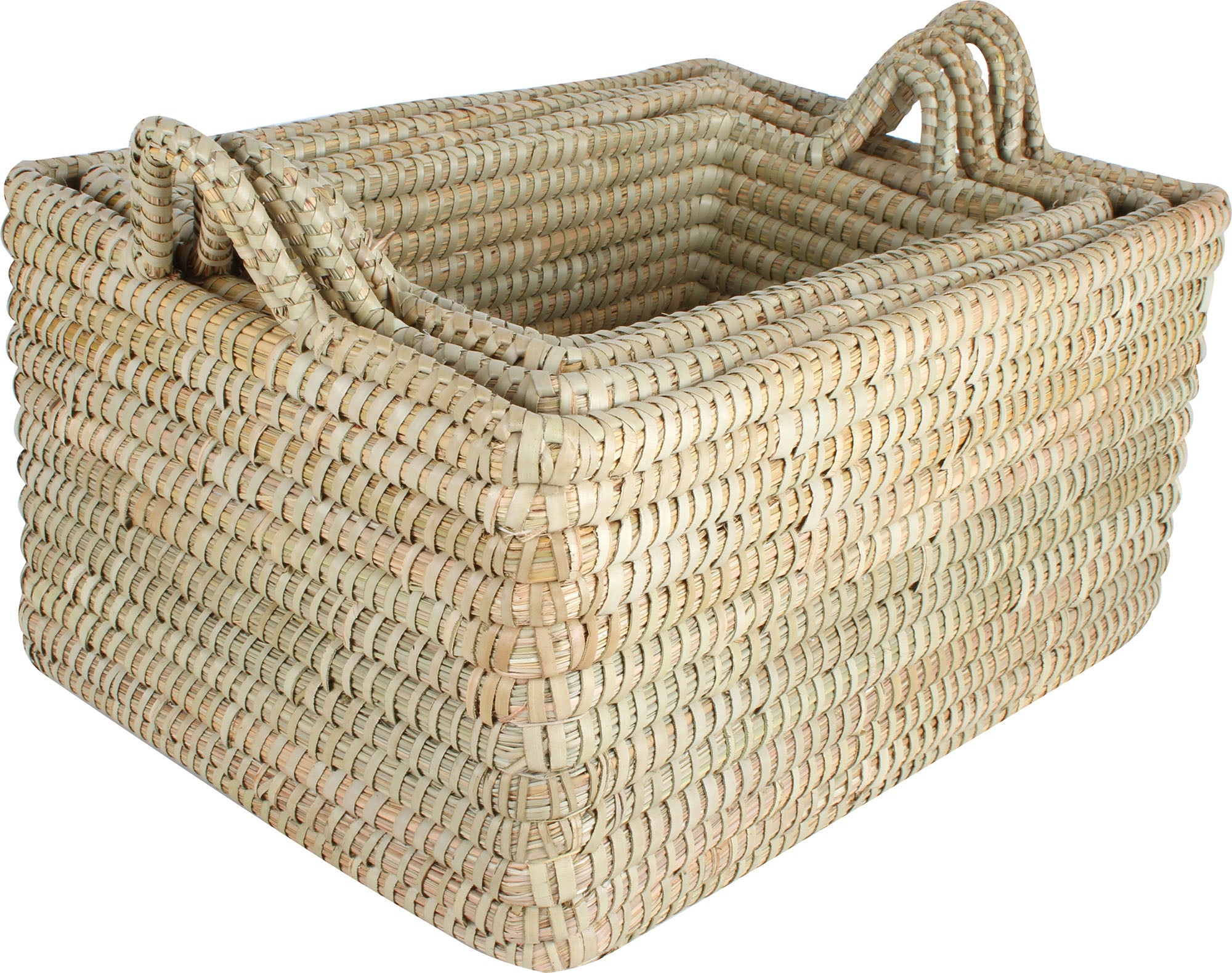 High-Quality Macquarie Trays With Handles Set Of 4 Palm Leaf - Best Prices Available