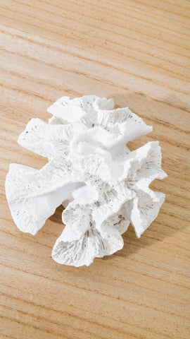 Resin Coral Ornament White 14 x 13 x 7.5cm