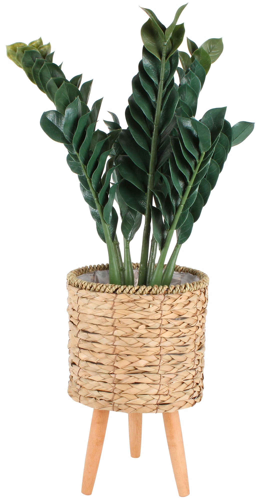 MALO SET OF 3 POT PLANT STANDS WITH LEGS NATURAL