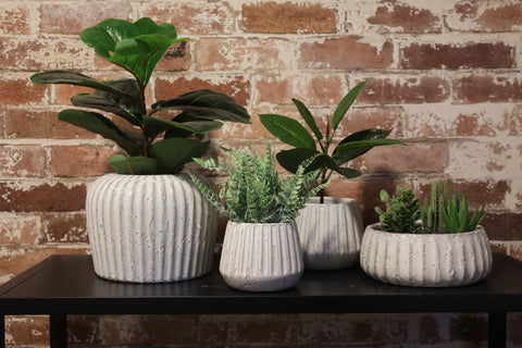 Rustic White Terracotta Pot 24 x 24 x 10cm