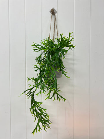 Faux Hanging Staghorn in Concrete Pot Hanging 55cm