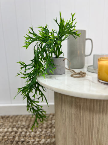 Faux Hanging Staghorn in Concrete Pot Hanging 55cm