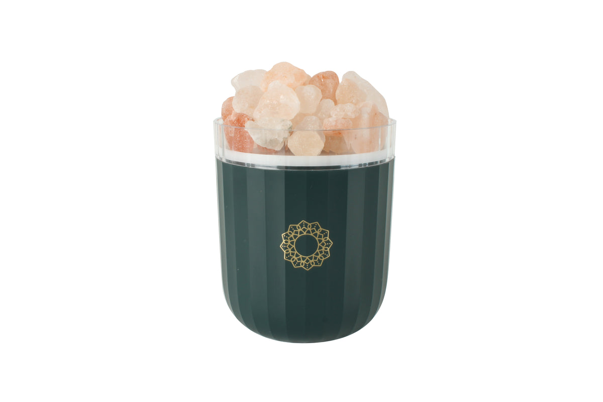 Refresh Your Space with the Green Winnie Himalayan Salt Diffuser - Shop Now!