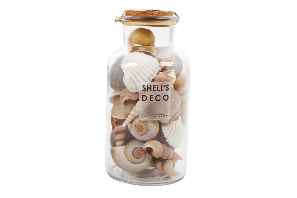 Faro Mix Sea Shells In Glass Bottle
