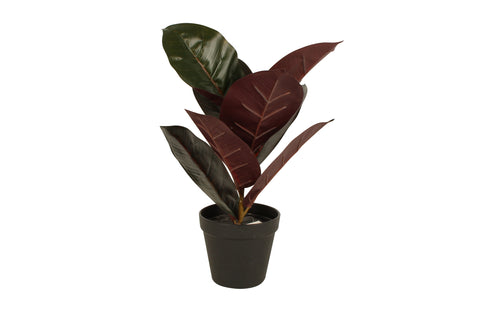 POTTED REAL TOUCH BURGUNDY RUBBER PLANT 36cm